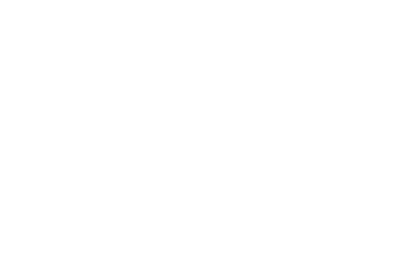 Shared fiber offers less secure, unreliable dynamic IPs