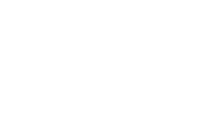 Shared fiber ensures your business internet is split and shared with neighbours